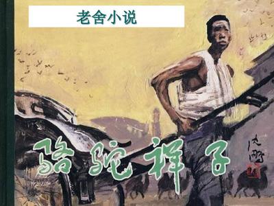 红杏永久地域网名免费观看